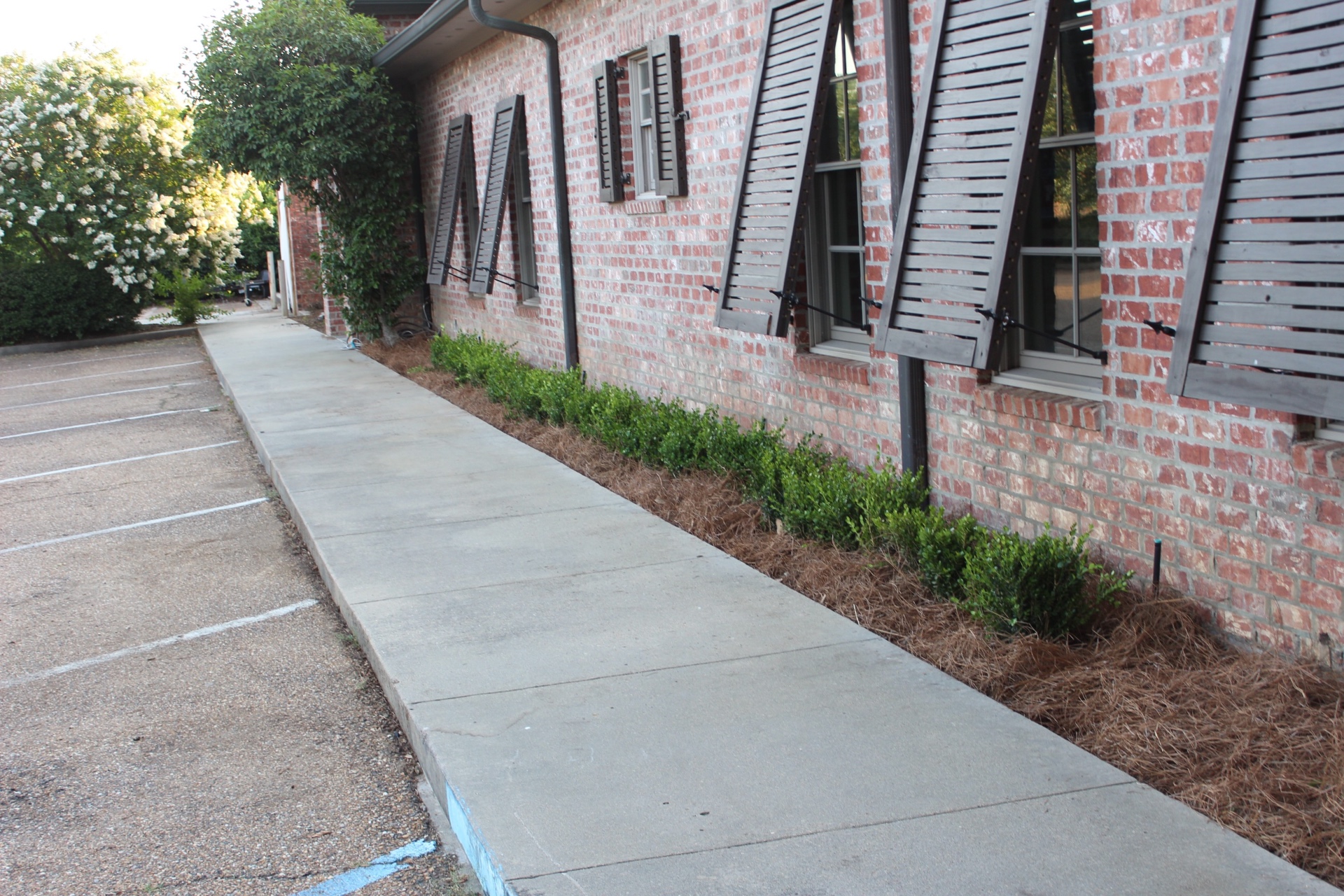 Fresh bed install with pine straw and fresh plantings
