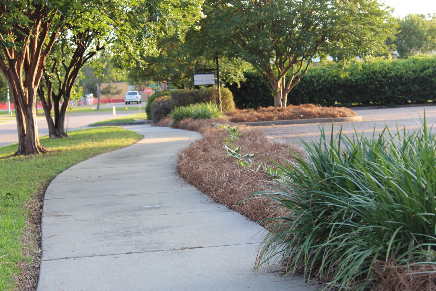 Fresh bed install with pine straw and fresh plantings