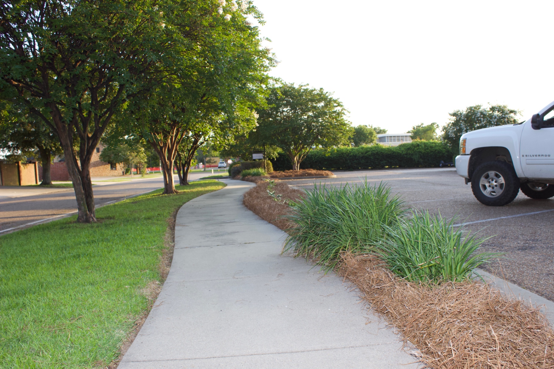 Fresh bed install with pine straw and fresh plantings