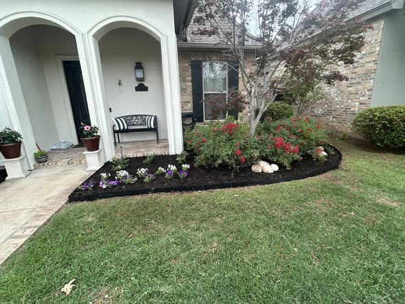 Fresh flower bed with mulch and seasonal blooms